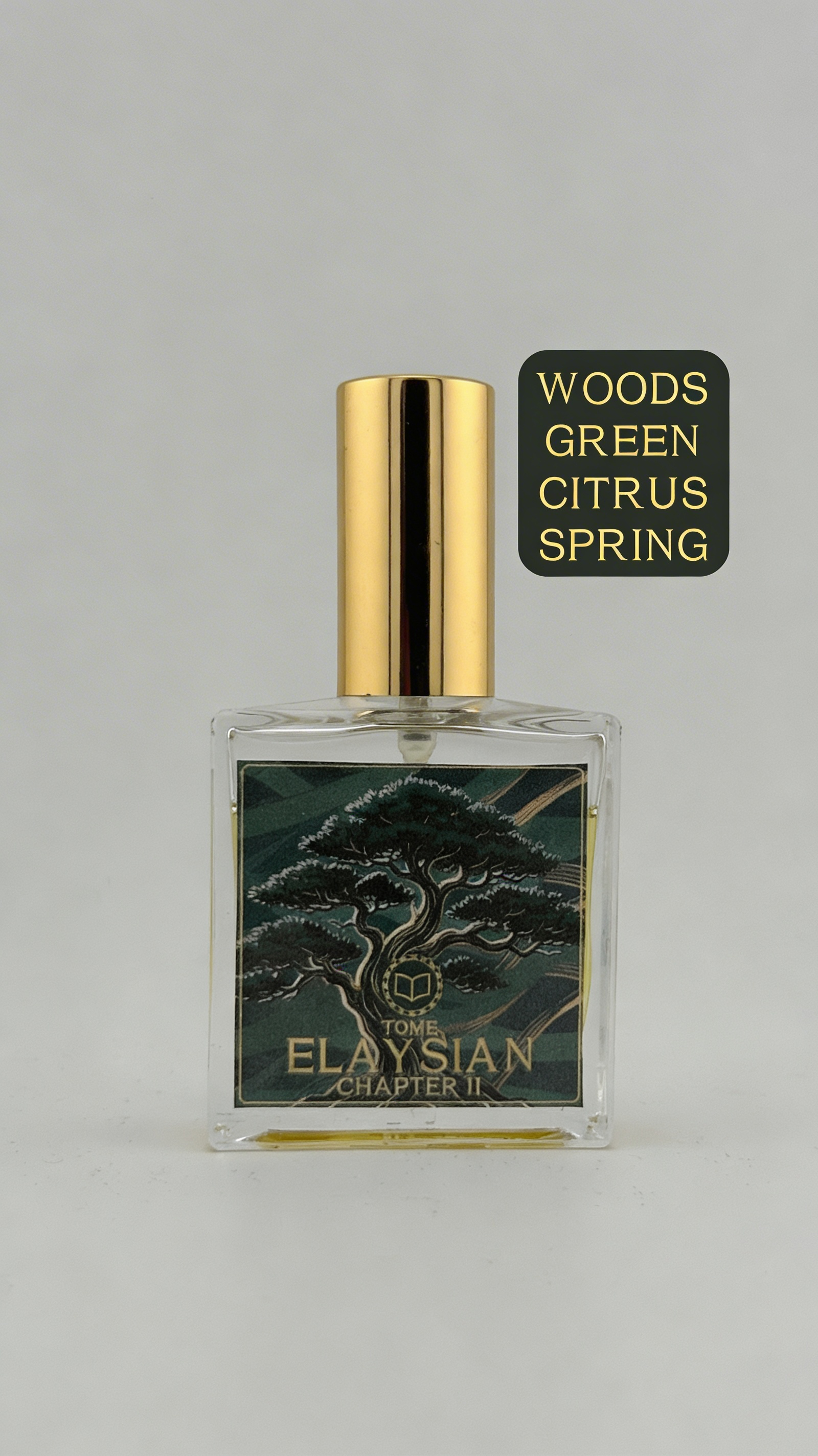 Elaysian - Chapter 2