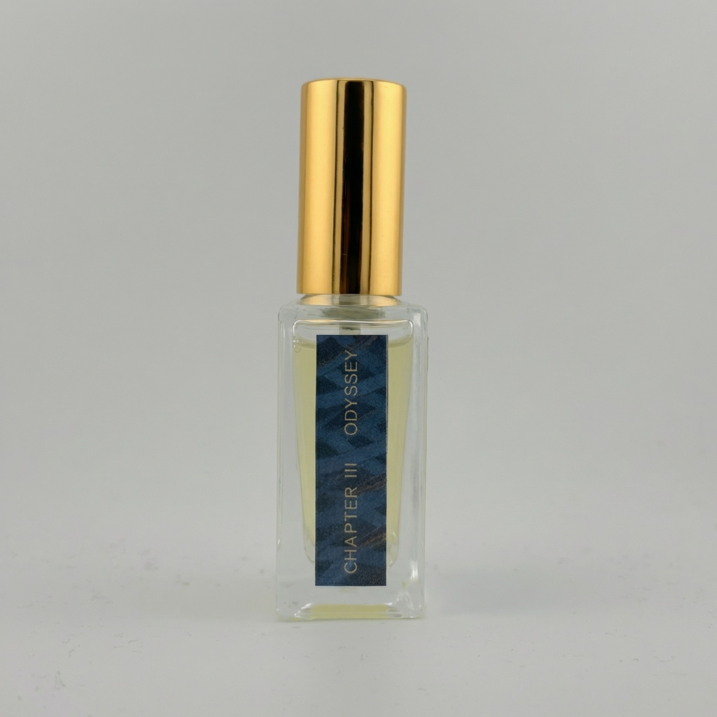 Odyssey - Chapter 3